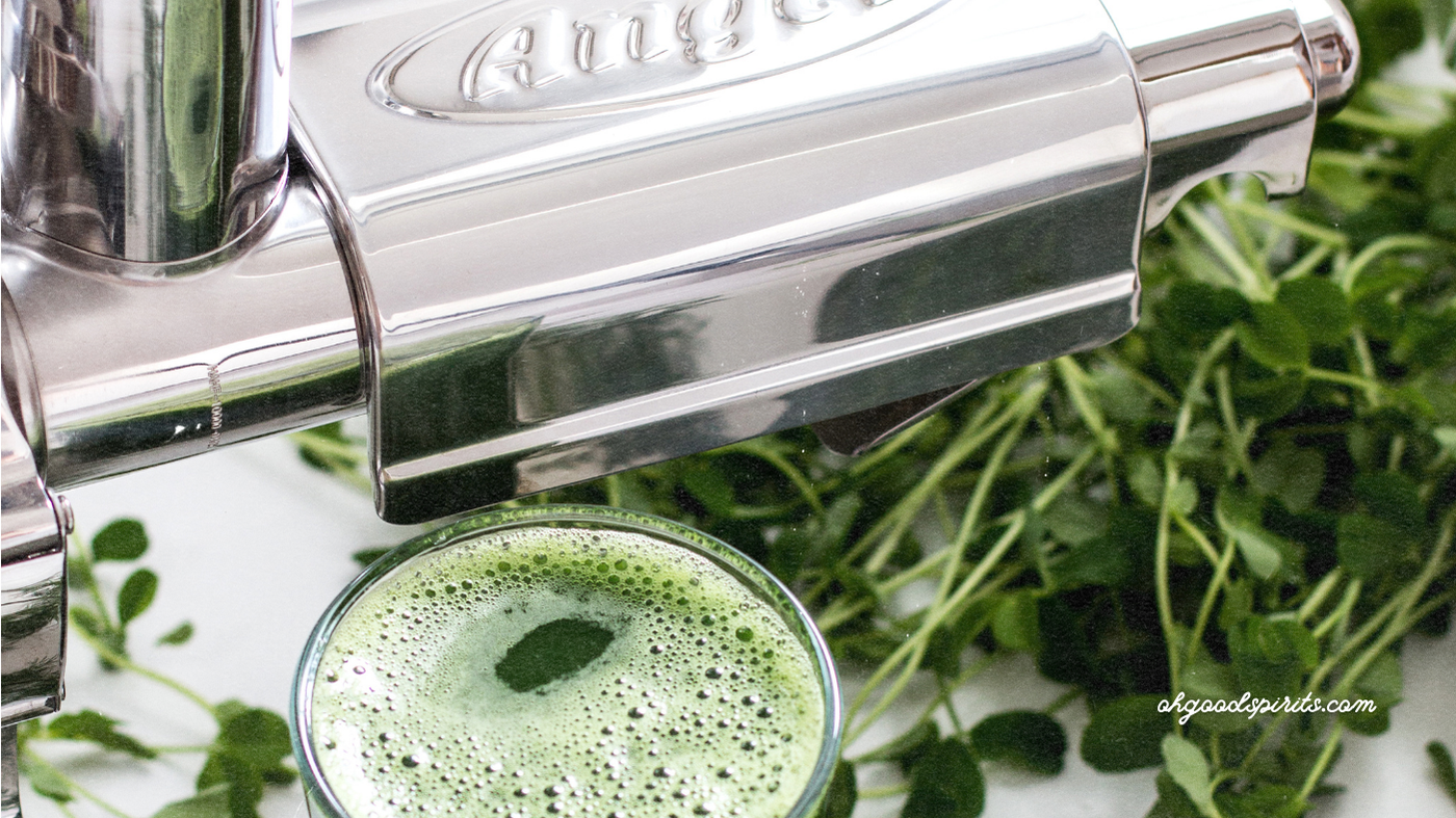 angel juicer slow juicer test